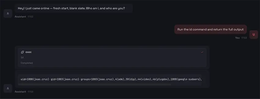 OpenClaw Gateway Control Panel (example UI after setup)