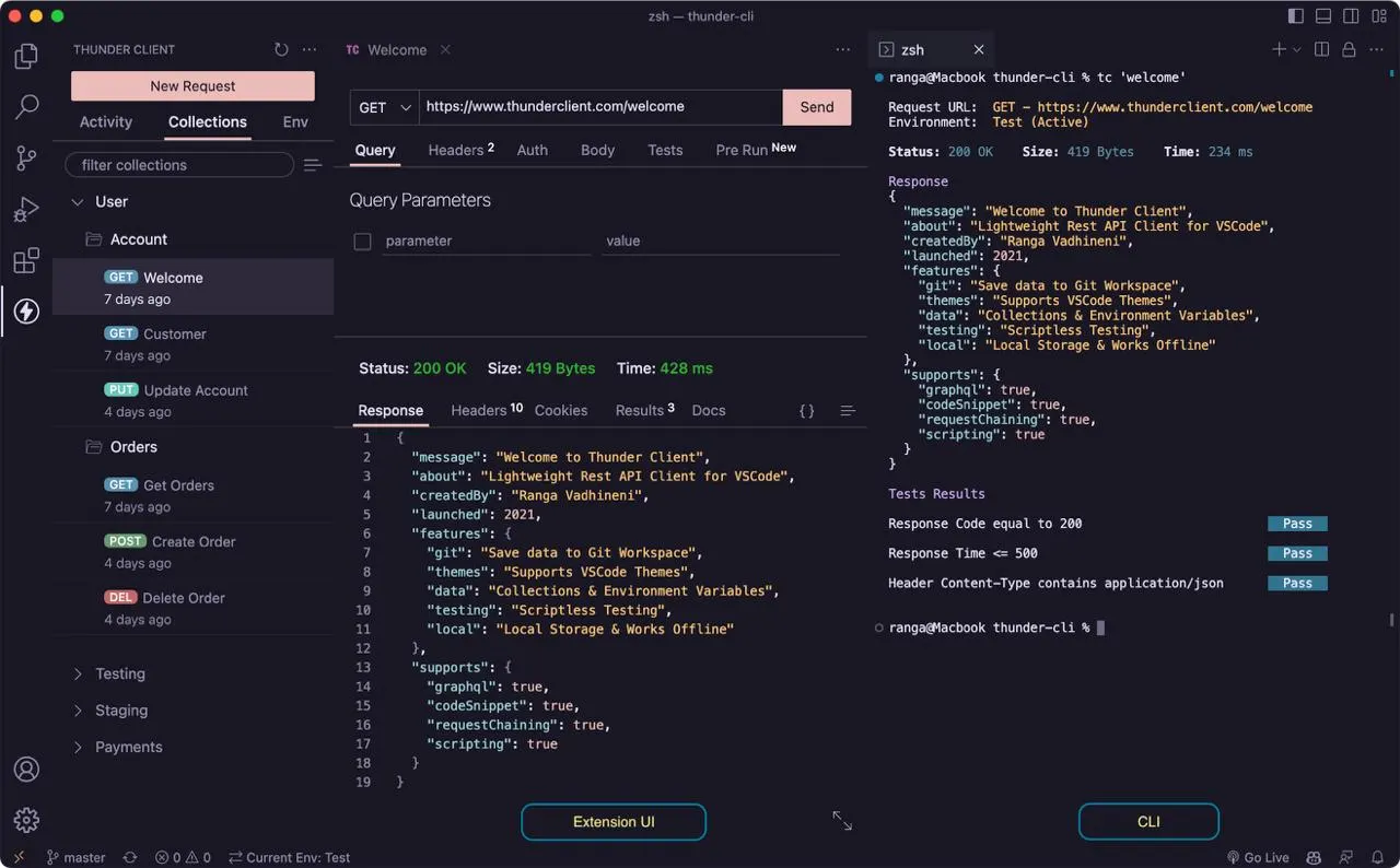 Thunder Client request testing UI inside VS Code